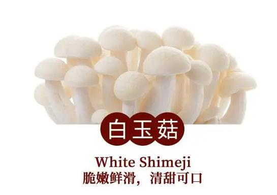 白玉菇