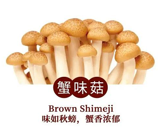 蟹味菇种植