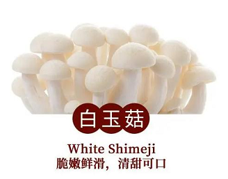 白玉菇种植