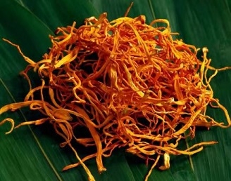 虫花草