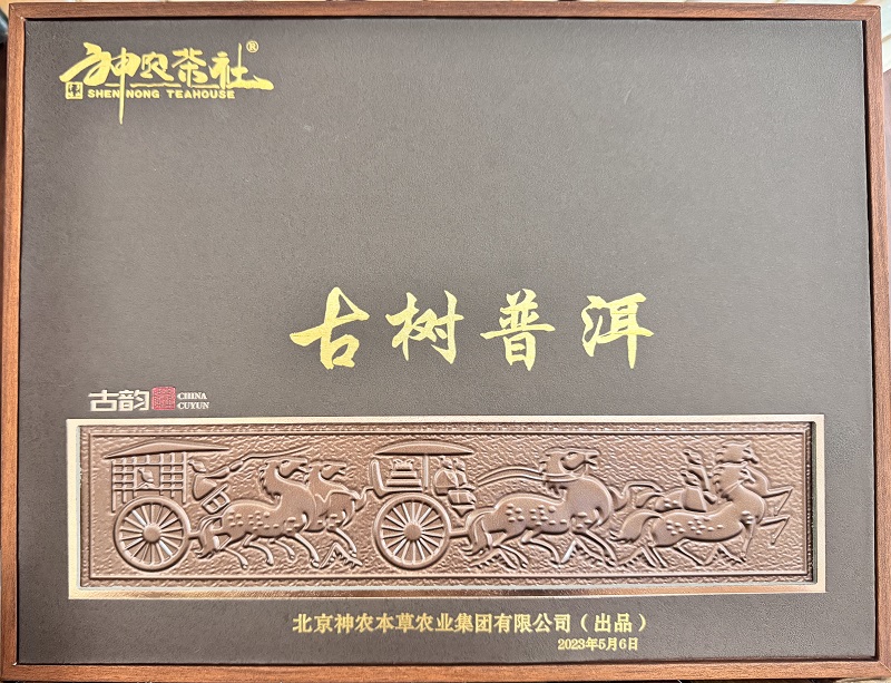 古树普洱