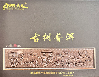 古树普洱